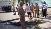 Un cocodrilo mata a hombre que se metió a nadar en la laguna Carpintero en Tampico