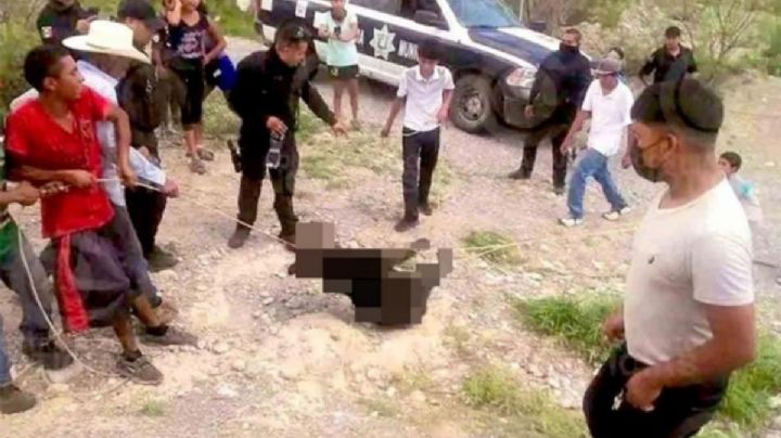 Suspenden a 5 policías que presenciaron tortura y muerte de oso negro en Coahuila