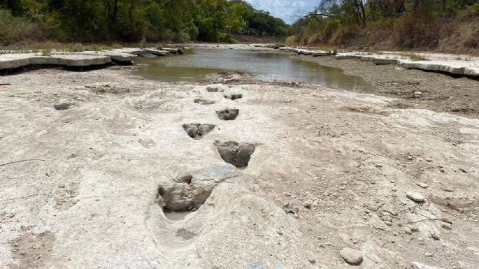 Sequía deja al descubierto huellas de dinosaurios en parque de Dallas (Video)