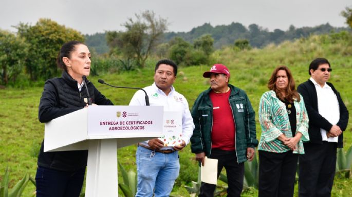 Sheinbaum enviará iniciativa de reforma constitucional en materia de agro