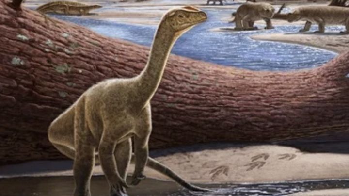 El cambio climático fue clave en el ascenso de los dinosaurios