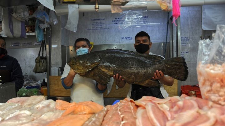 Canadá ofrece empleo de 60 mil pesos mensuales a quien sepa lavar pescado