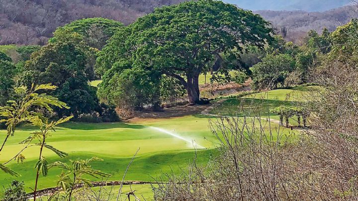 El club de golf en Huatulco, de luz a sombra en manos de Salinas Pliego