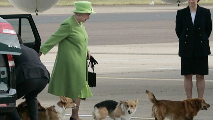 Esto pasará con los perros corgi de la reina Isabel II tras su muerte