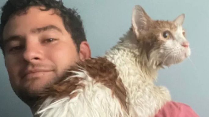 Rescata a un gato de la inundación provocada por el huracán Ian y se vuelve viral (Video)