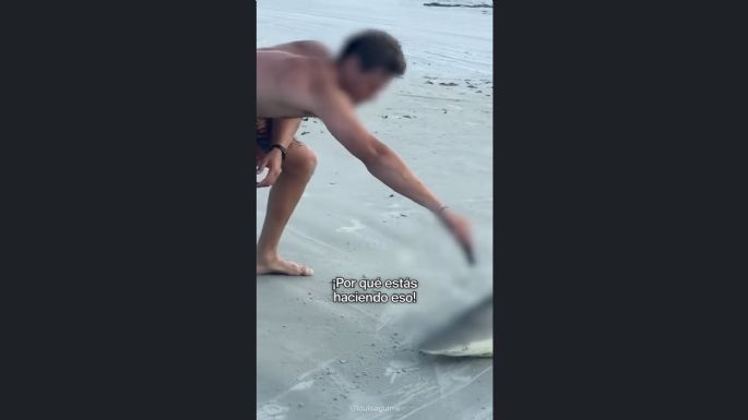 Dos sujetos acuchillan y sacrifican a un tiburón en playa de EU (Video)