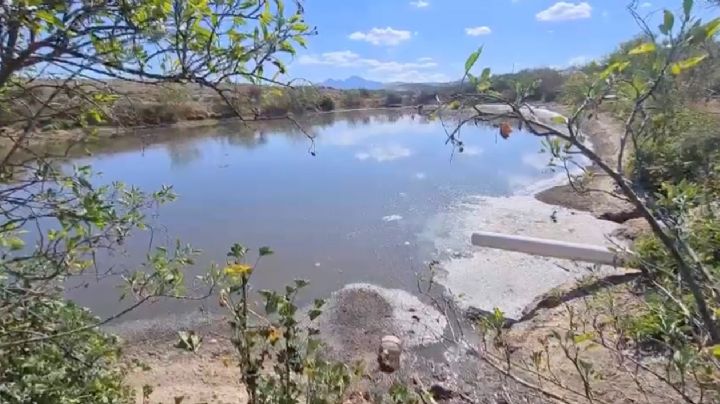 Por daños ambientales piden en Oaxaca retiro de granja porcina
