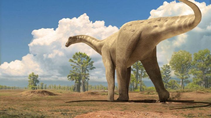 Paleontólogos hallan 92 nidos con 256 huevos fósiles de Titanosaurio