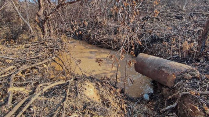 Oaxaca: Fugas de amoniaco, hedor a muerte e indolencia oficial