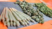 Reanudan producción de marihuana legal en estado de Washington