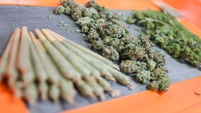 Reanudan producción de marihuana legal en estado de Washington