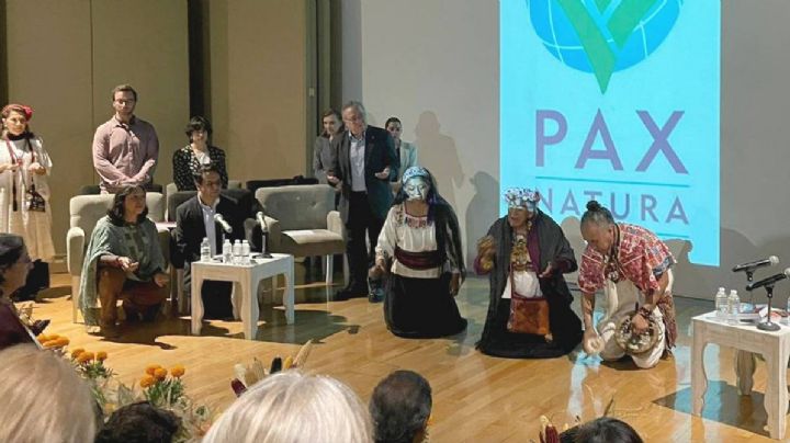 Entregan premio Pax Natura 2023 a defensores del maíz nativo