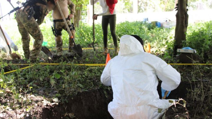 Encuentran 11 cadáveres en fosas clandestinas de Tecomán, Colima
