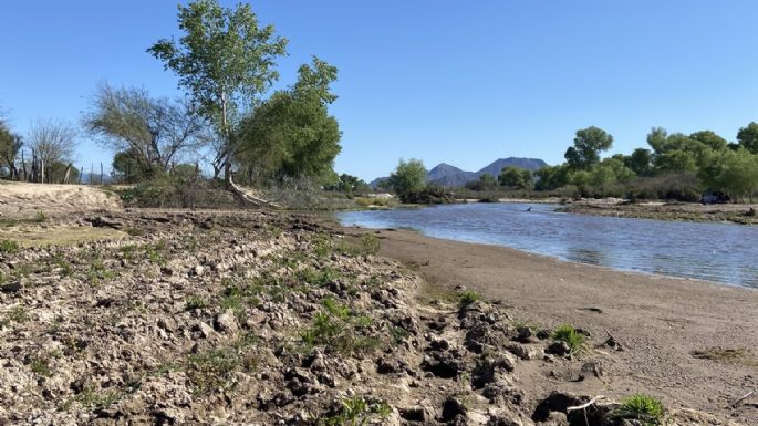 Grupo México refuta diagnóstico de Semarnat sobre el Río Sonora: remediación “fue exitosa”