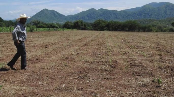 Campesinos del Valle de Tehuacán acusan a agroindustrias chinas de usar aeronaves antigranizo