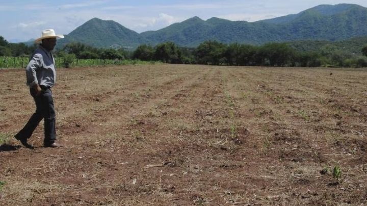 Campesinos del Valle de Tehuacán acusan a agroindustrias chinas de usar aeronaves antigranizo