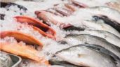 Huachinango por verdillo o tilapia china: Exponen estafa en venta de pescado