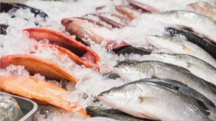 Cuaresma: recomendaciones para evitar enfermarse por consumir productos del mar