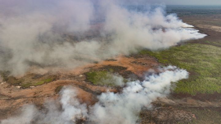 Brasil: Peligra fauna, vegetación y casas por incendios en el mayor humedal del mundo