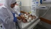 Bebés evacuados de Gaza llegan a Egipto