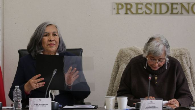 María Estela Ríos, aspirante a ministra: “reconozco que sí soy afín a las ideas del presidente”