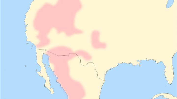 Ascendencia mexicana en California datada hace unos 5 mil 200 años