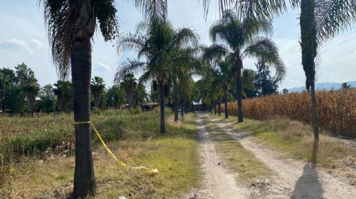 Guardia Nacional localiza fosas clandestinas en Tlajomulco (Video)