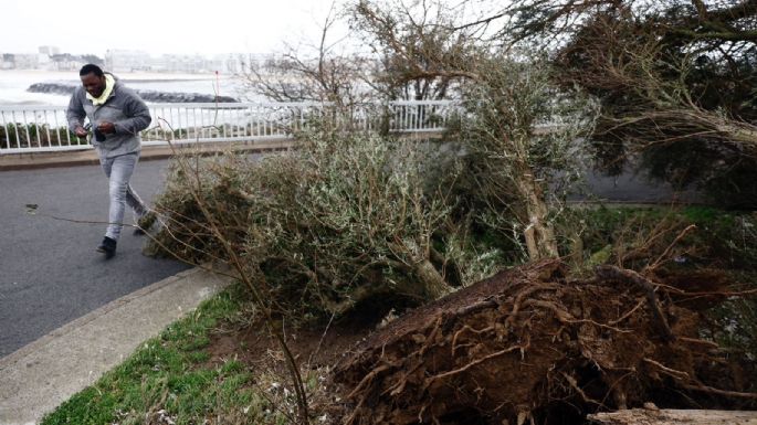 Muere técnico de empresa eléctrica tratando de reparar cable tras tormenta