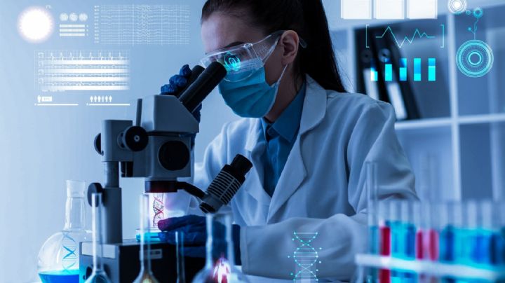 Secihti lanza convocatoria nacional de apoyos para investigación científica y humanística