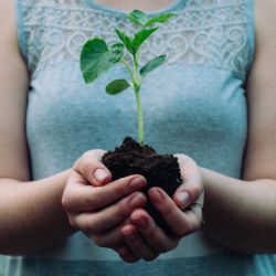 Octubre 2025: hacia un movimiento climático en México