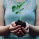 Octubre 2025: hacia un movimiento climático en México