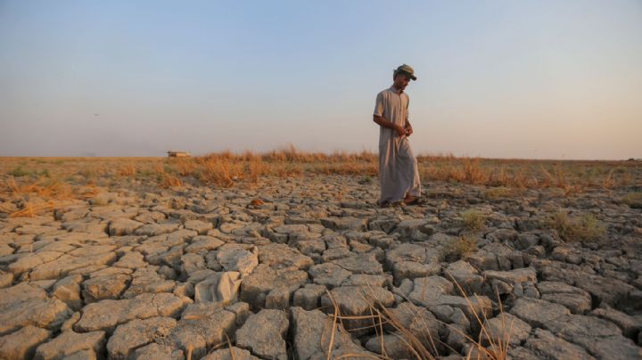 2023 podría ser el año más caluroso registrado, pero 2024 será un infierno por culpa de “El Niño”