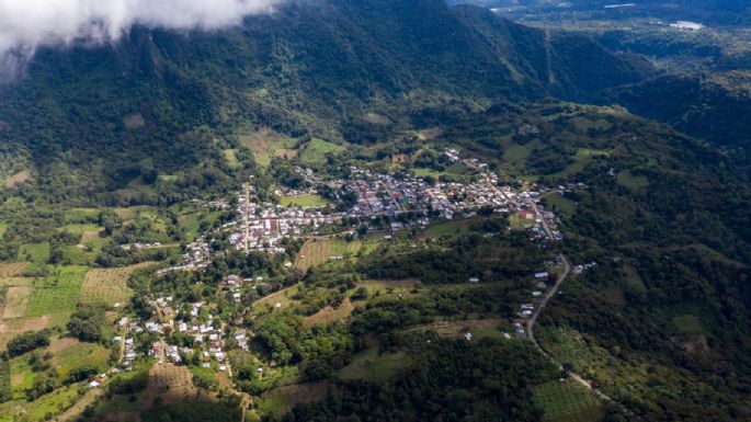 Sembrando Vida: traición en la cañada