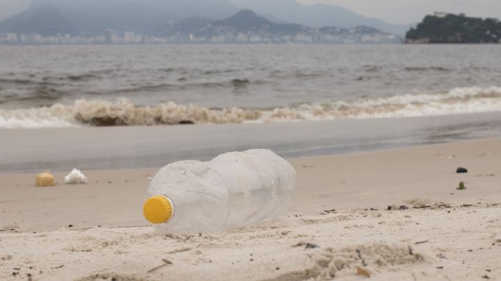 Alerta a vacacionistas: estas playas superan los límites de contaminación