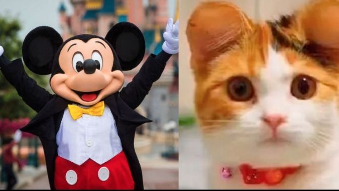 Polémica por operación de orejas a mascotas al estilo Mickey Mouse en China