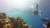 “El Niño” podría ocasionar pérdidas de corales y altas temperaturas oceánicas sin precedente