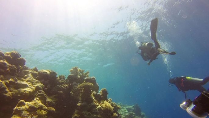 “El Niño” podría ocasionar pérdidas de corales y altas temperaturas oceánicas sin precedente