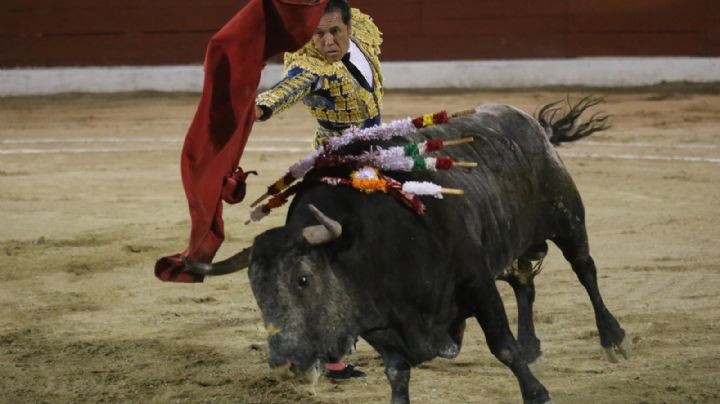 SCJN avaló la reanudación, momentánea, de las corridas de toros en la Plaza México