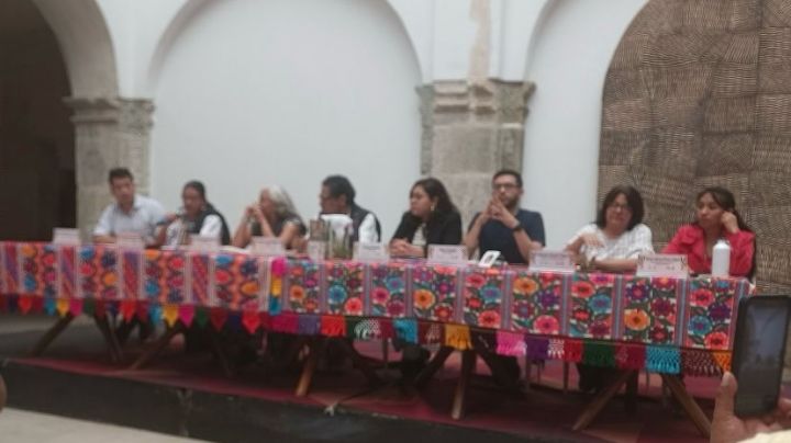 En Oaxaca se han profundizado las violaciones a los derechos humanos: ONG