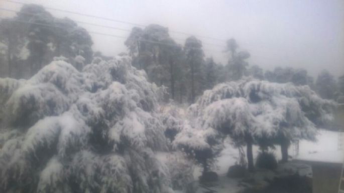 Caída de nieve o aguanieve traerá el Frente Frío #16 el domingo en estas cimas montañosas