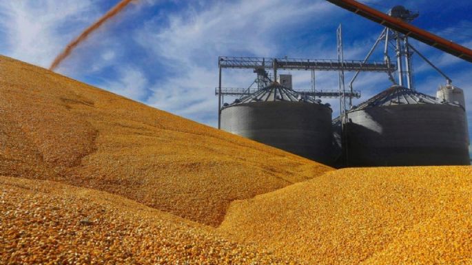 Canadá se une a EU en el conflicto comercial con México por el maíz transgénico