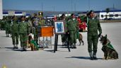 A su regreso a México, la delegación que viajó a Turquía homenajea a Proteo