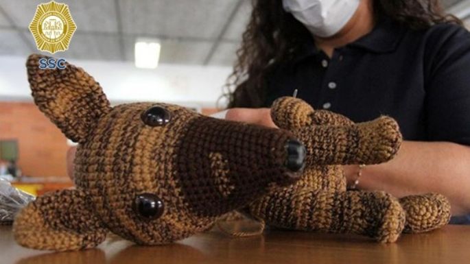 Reclusas lanzan muñeco de estambre de Proteo, el perrito rescatista que murió en Turquía