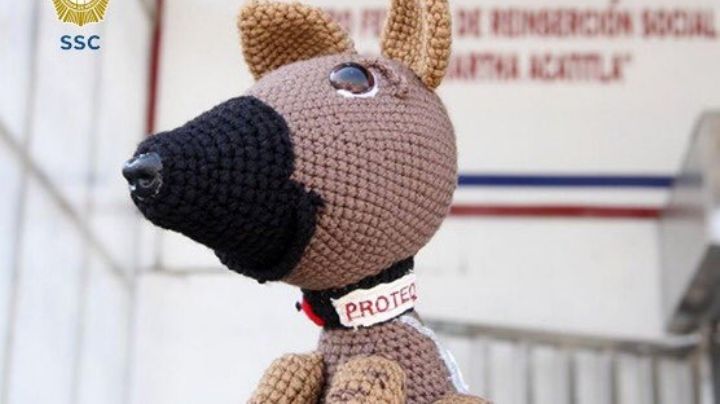 Reclusas lanzan muñeco de estambre de Proteo, el perrito rescatista que murió en Turquía