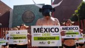 “La tauromaquia es violencia”: Activistas protestan en San Lázaro contra las corridas de toros