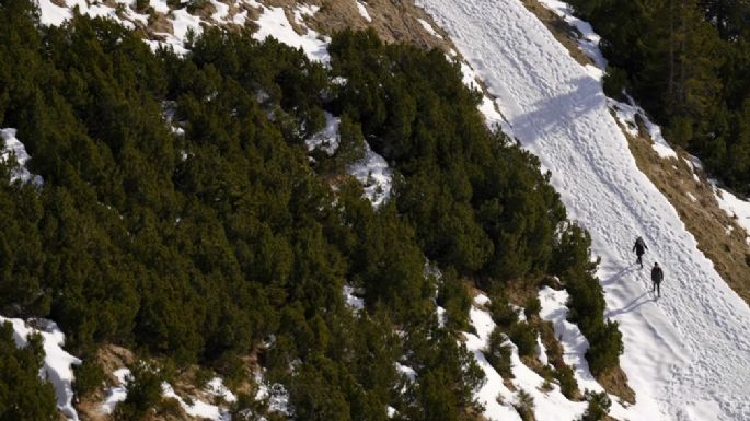 Niños austriacos demandan al gobierno para garantizar sus derechos contra el cambio climático