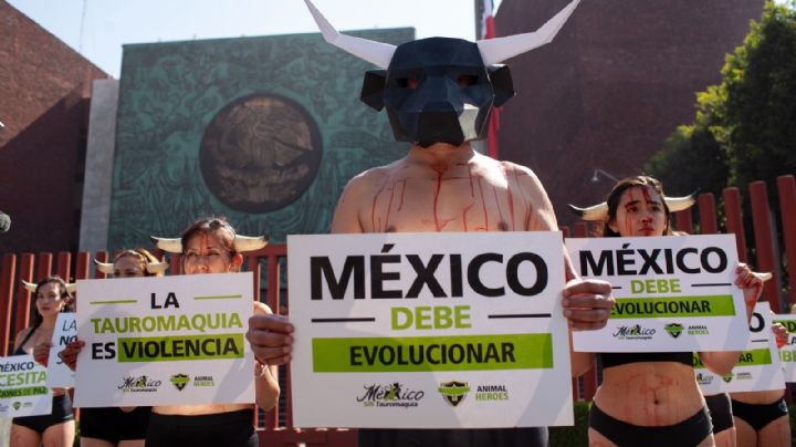 “La tauromaquia es violencia”: Activistas protestan en San Lázaro contra las corridas de toros