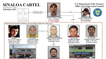 EU sanciona a 11 personas y la empresa Mamba Negra por vínculos con el Cártel de Sinaloa