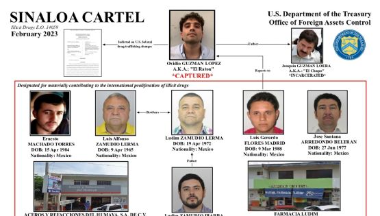 EU sanciona a 11 personas y la empresa Mamba Negra por vínculos con el Cártel de Sinaloa
