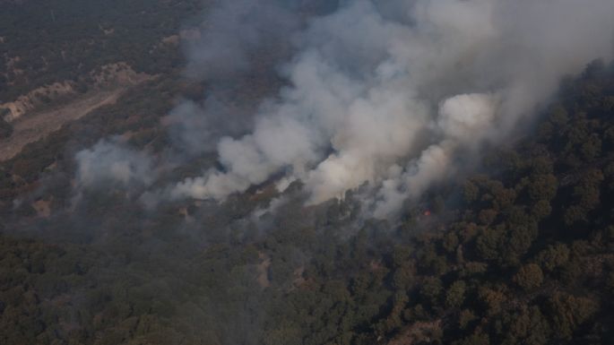 Se extiende el incendio en el bosque La Primavera; el humo llega a Zapopan